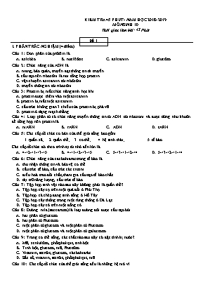 Đề kiểm tra 45 phút môn Sinh học Lớp 10 - Đề số 1 - Năm học 2018-2019